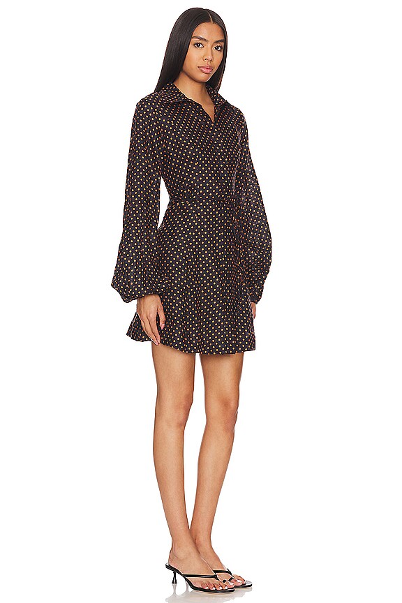view 2 of 4 Rae Mini Dress in Ludovica Polka Dot