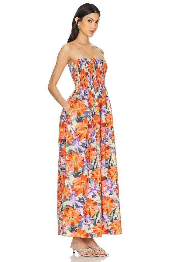 view 2 of 3 X Revolve Tergu Maxi Dress in Blossom