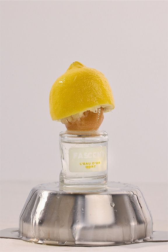 FASCENT L'eau D'or Dort Eau De Parfum Spray | REVOLVE