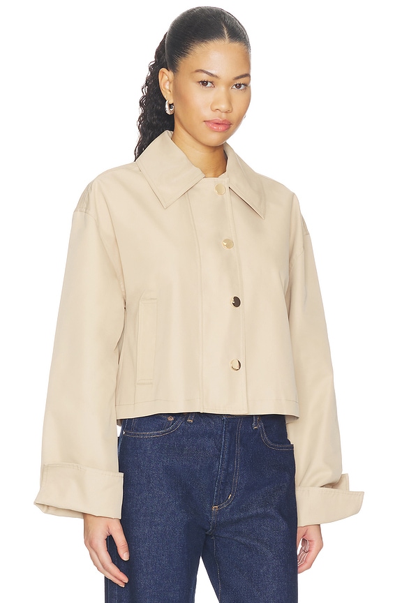 The Rue Cropped Trench