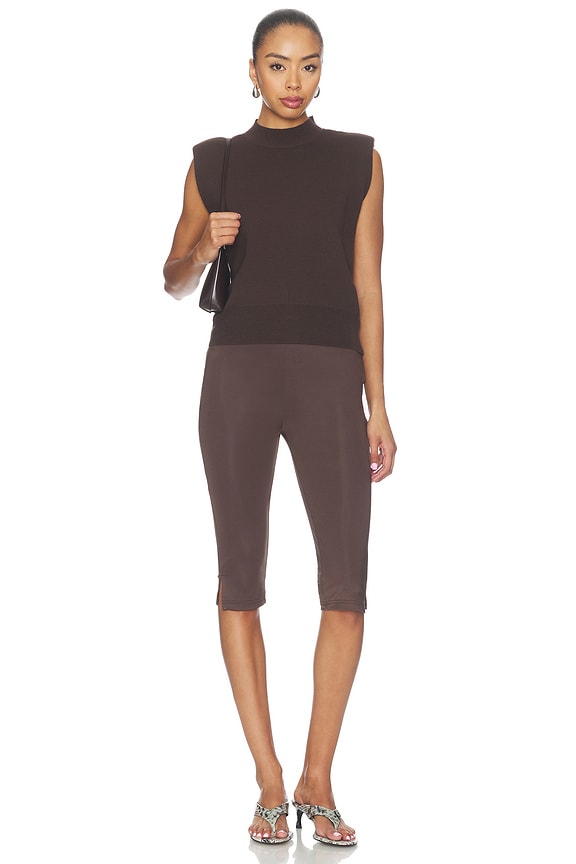The Whitney Top
