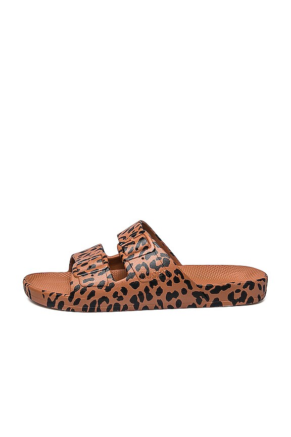 view 2 of 3 スライド in Leo Toffee