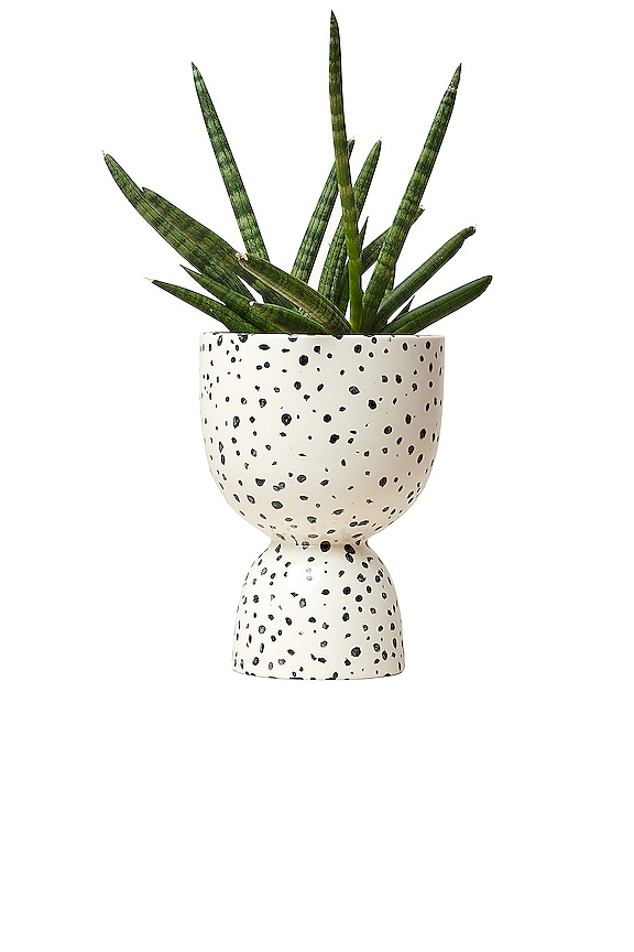 view 2 of 2 MACETERO MEDIUM in Speckled