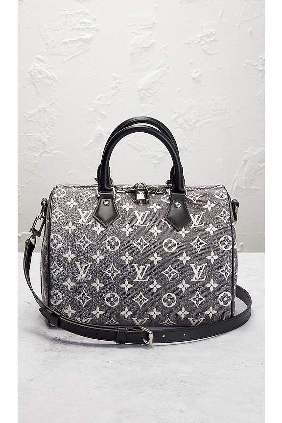view 2 of 10 BOLSO LOUIS VUITTON in Grey