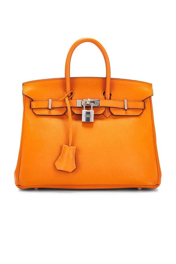 view 1 of 10 Hermes Novillo Birkin 25 Handbag in Orange