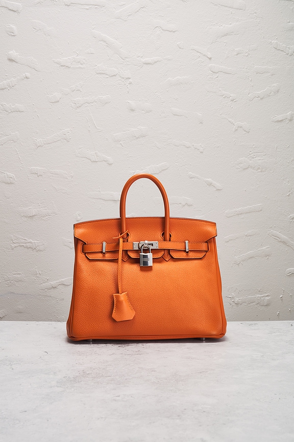 view 2 of 10 Hermes Novillo Birkin 25 Handbag in Orange