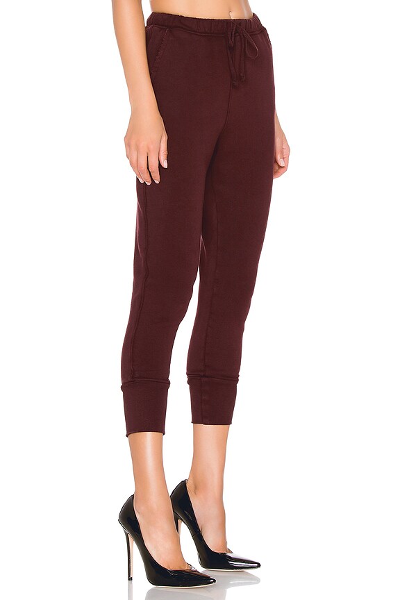 view 2 of 4 Tee Lab Cuffed Sweatpant in Vamp