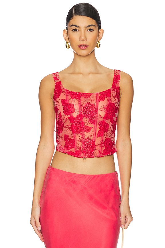 view 1 of 5 Embroidered Roses Bustier Top in Red