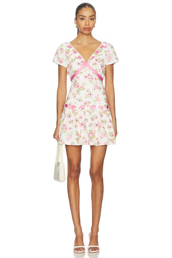 view 1 of 3 Belladonna Poplin Mini Dress in Rosebush