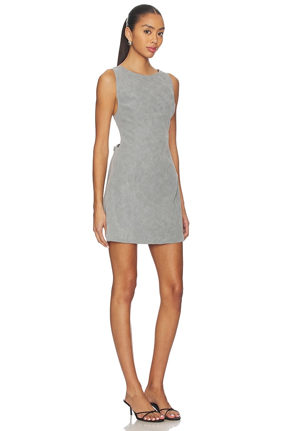 view 2 of 4 Atlas Suede Mini Dress in Wild Dove