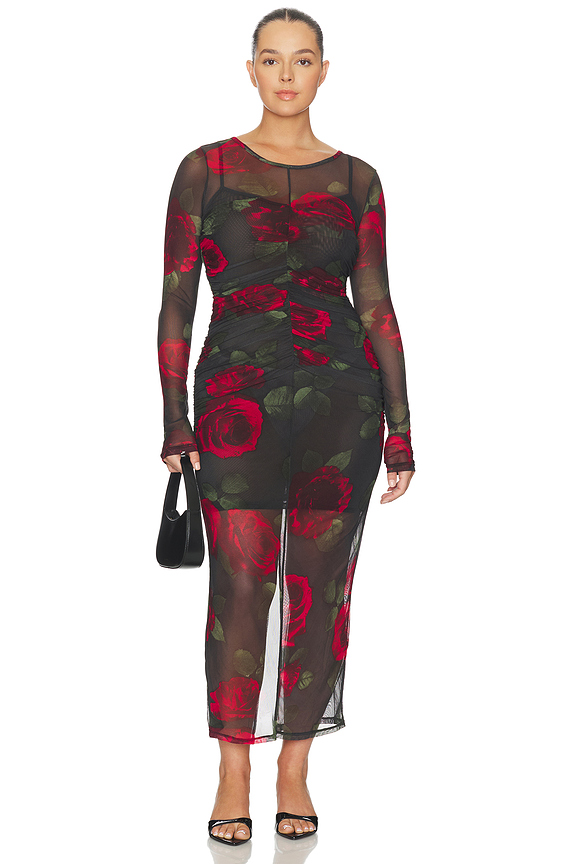 view 2 of 6 Mesh Ruched Maxi Dress in Moody Red Roses001