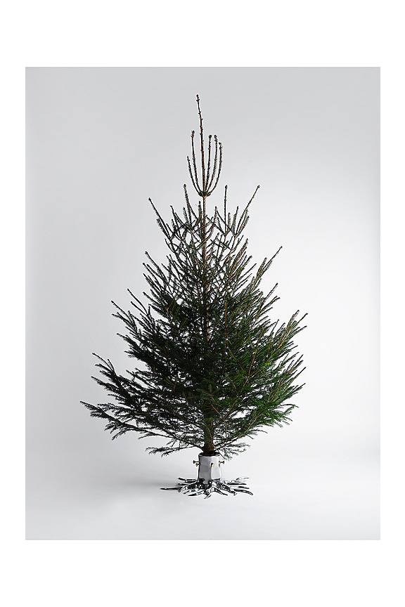 view 2 of 4 The Root Christmas Tree Stand in Silver