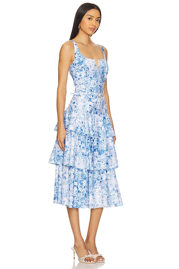 view 2 of 4 Celeste Floral Poplin Dress in Zesty Fl Wht Blue