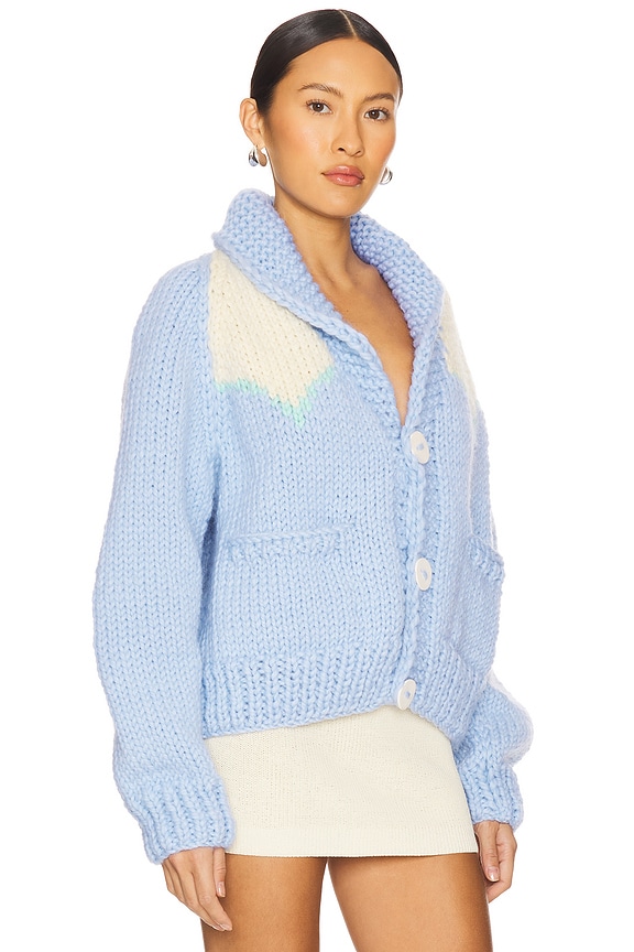 view 2 of 4 PULL in Blue Bird