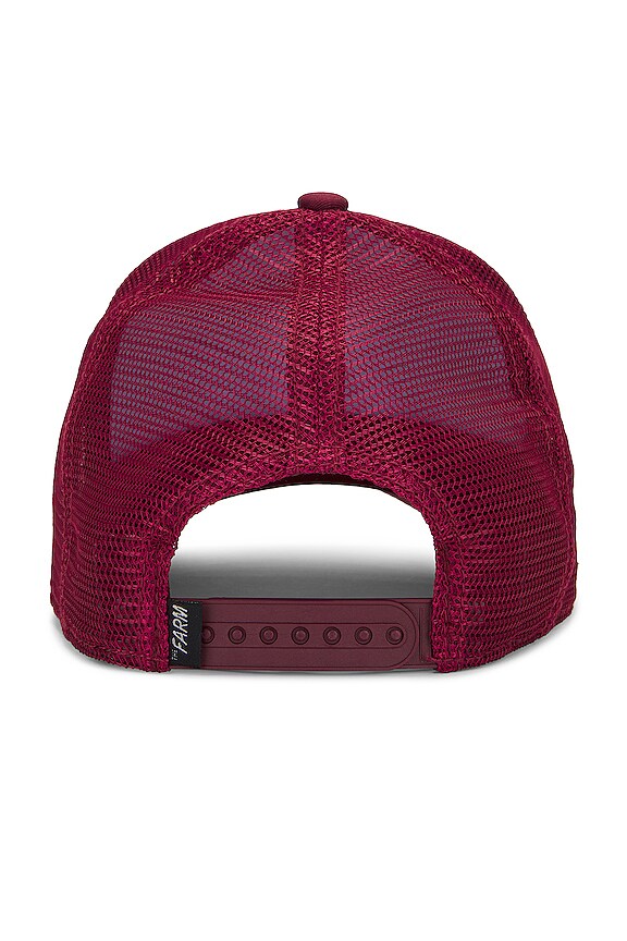 view 2 of 3 CHAPEAU in Maroon