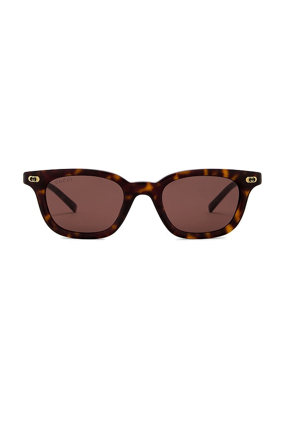 view 1 of 3 Round Sunglasses in Havana & Brown