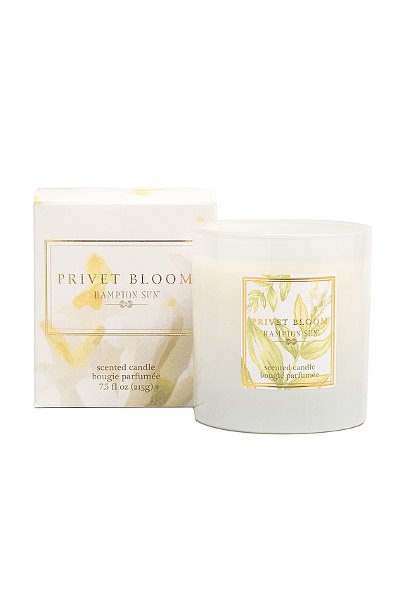 view 2 of 2 Privet Bloom Candle in 