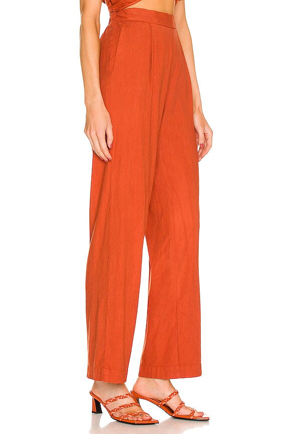 view 2 of 4 PANTALONES PLISADOS DE LINO in Faded Rust