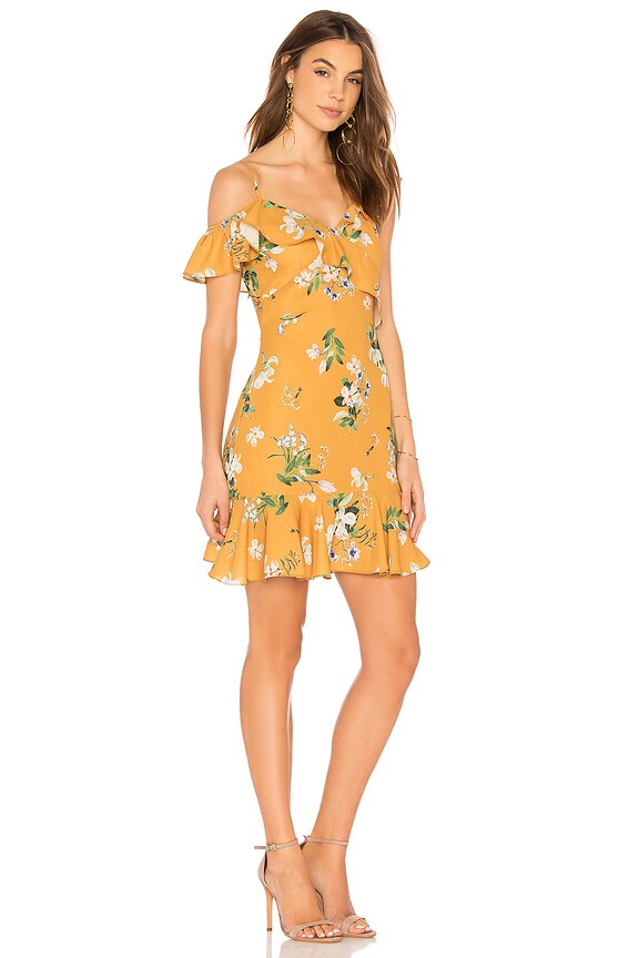 view 2 of 3 Harper Dress in Flora