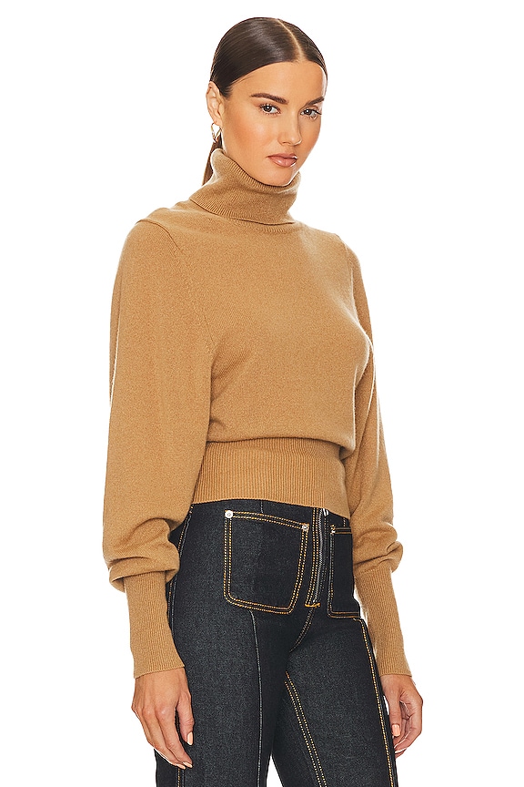 view 2 of 4 Aren Cashmere Turtleneck Sweater in Camel