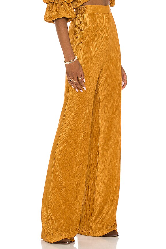 view 2 of 5 БРЮКИ SEVIGNY in Gold