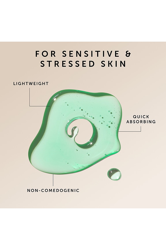 view 2 of 4 ACEITE FACIAL EMERALD HEMP SEED + ADAPTOGENS CALMING FACIAL OIL in 