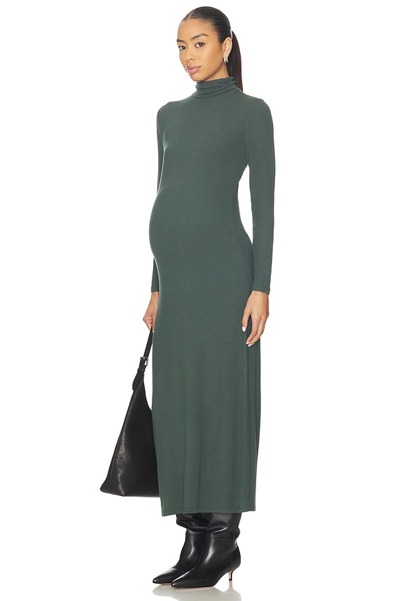 view 1 of 4 The Softest Rib Turtleneck Dress in Juniper