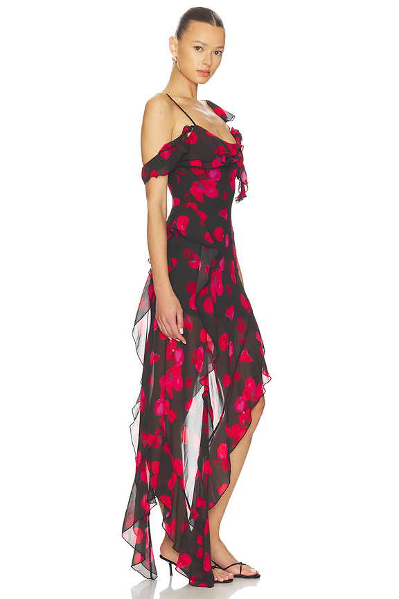 view 2 of 4 VESTIDO JULIETTA MAXI in Black Pretty Petal