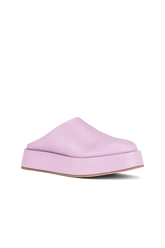 view 2 of 5 PASADOR RISEN in Lilac