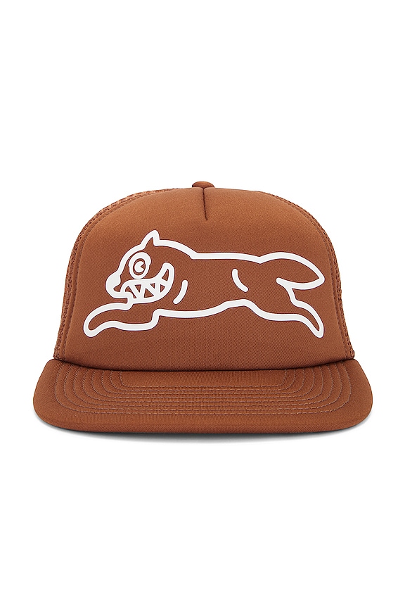 view 1 of 2 Cream Trucker Hat in Bison