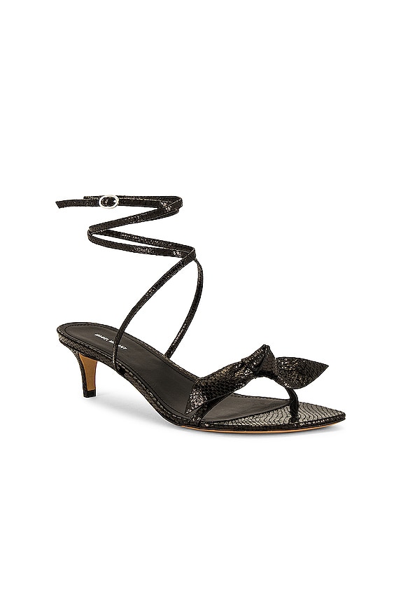 view 2 of 5 Aldine Sandal in Black