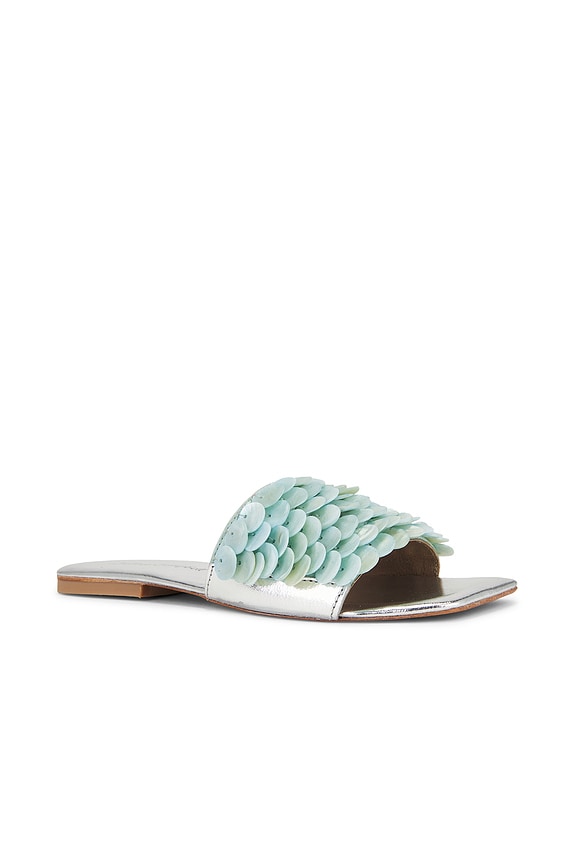 Fishy Slides