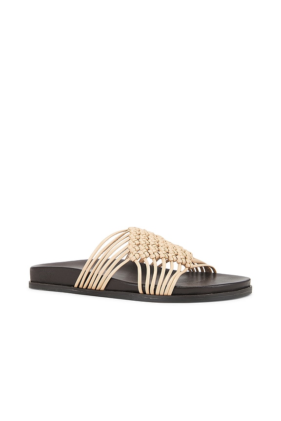 Plait Slides