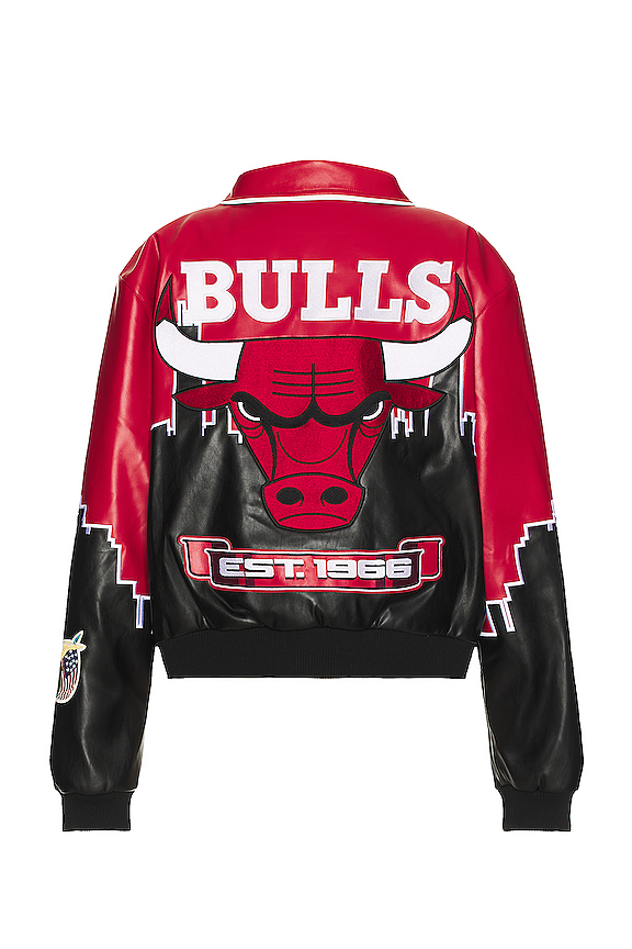 view 2 of 5 CHAQUETA SKYLINE CHICAGO BULLS in Red