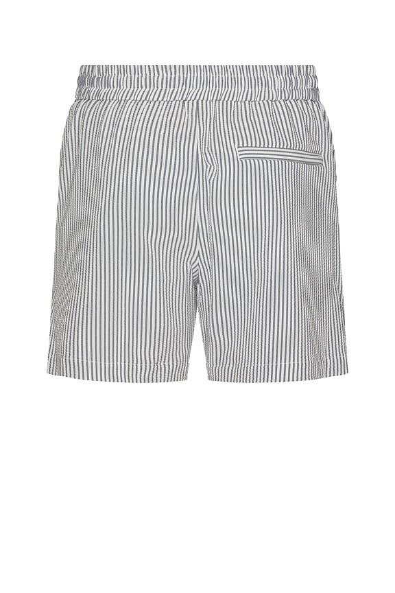 view 2 of 4 Swim Trunks in Midnight Stripe