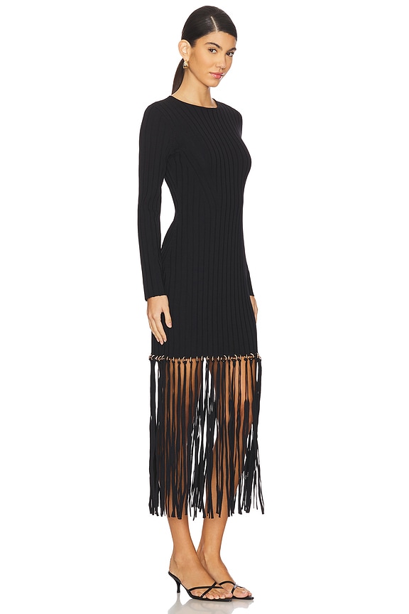 view 2 of 4 Sharron Maxi Fringe Dress in Black