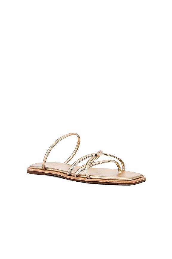 view 2 of 5 Kapok Square-toe Strappy Slide in Gold