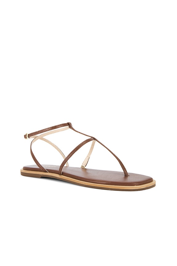 view 2 of 5 Aisha Strappy Gladiator Sandal in Tan
