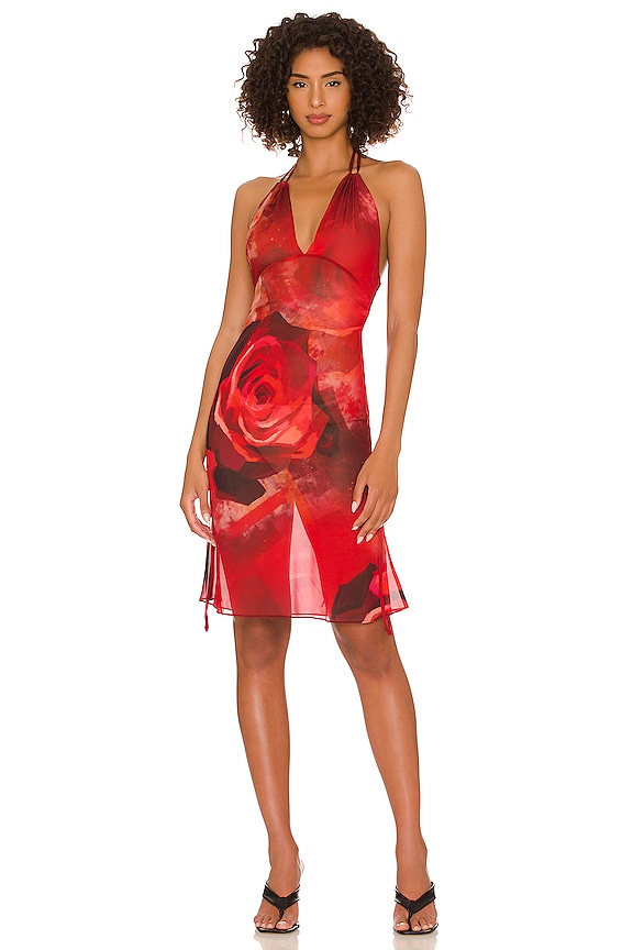 view 2 of 3 Chiffon Slip Dress in Red Rose