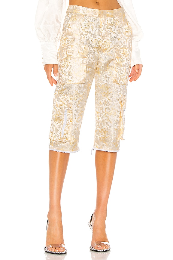 view 2 of 6 Cargo Pant in Dragon Print