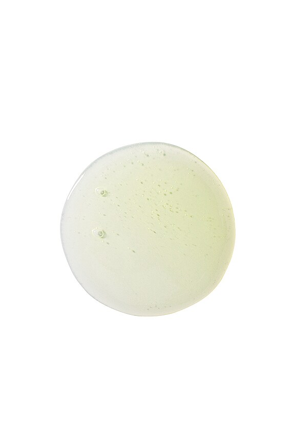 view 2 of 2 SHAMPOING CITRUS PULP in 