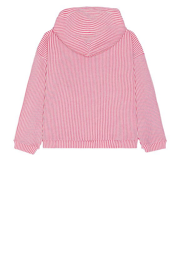 view 2 of 4 Striped Knit Zip Hoodie in Cactus Flower