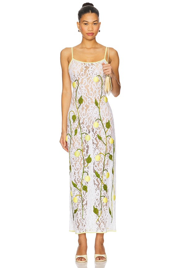 view 1 of 4 VESTIDO UNDER THE LEMON TREE in Lace Embroidered