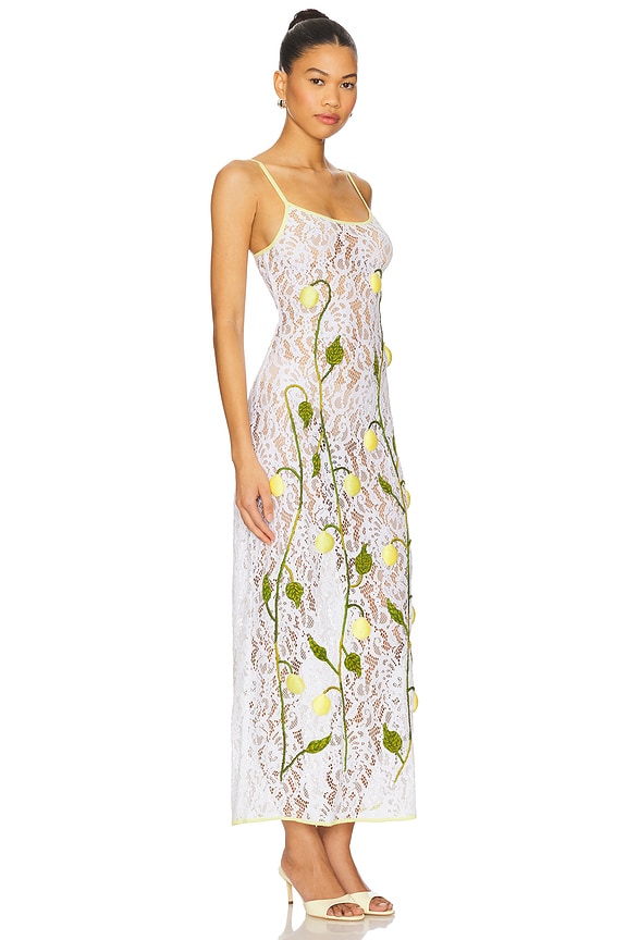 view 2 of 4 VESTIDO UNDER THE LEMON TREE in Lace Embroidered