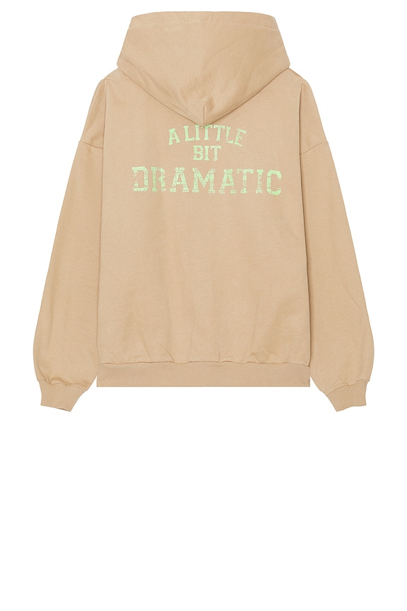 view 2 of 3 Tantrum Hoodie in Brown