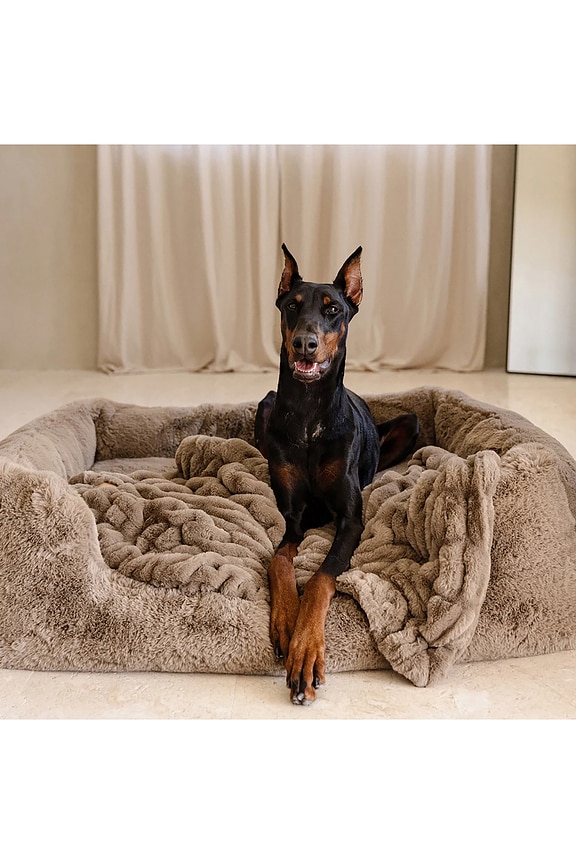 view 2 of 2 The Pet Blanket in Desert Dune