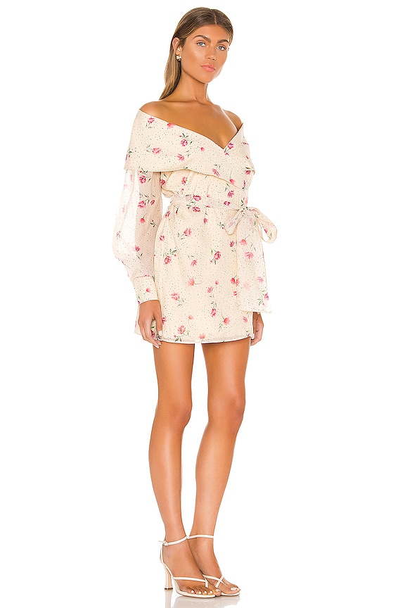 view 2 of 3 The Liliana Mini Dress in Multi Floral