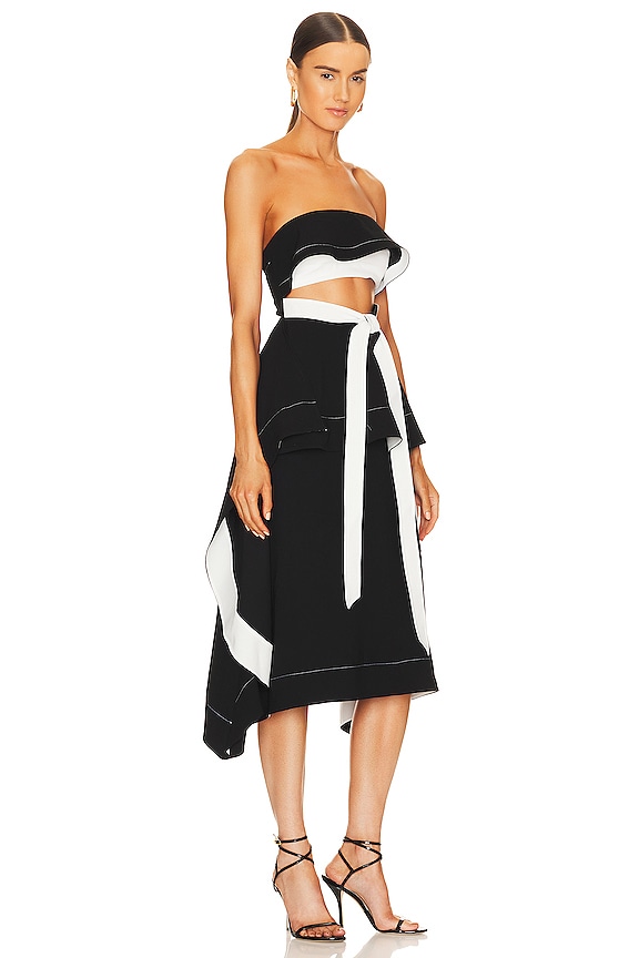 view 2 of 3 Helena Midi Dress in Black & White