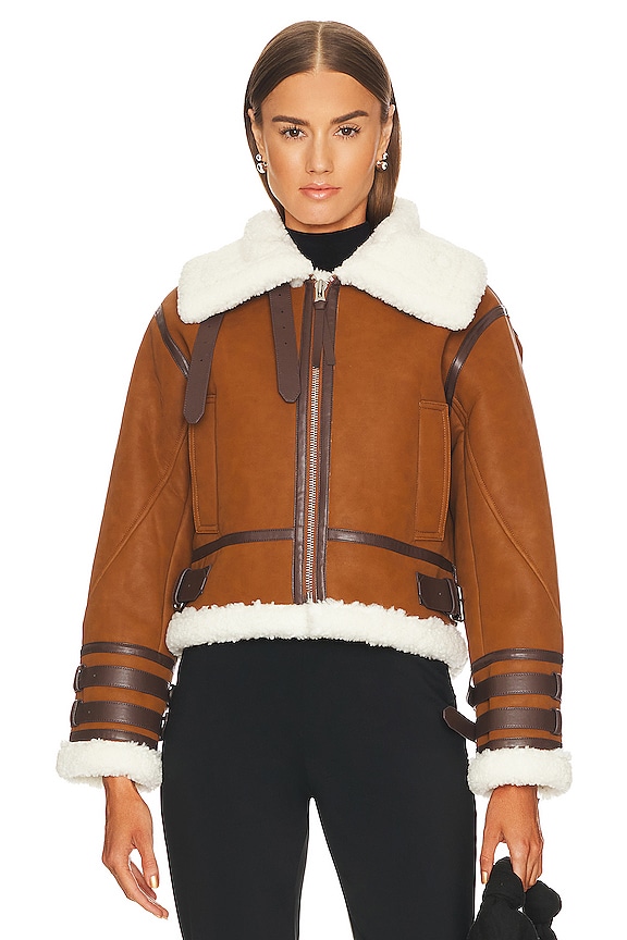 view 2 of 4 BENTON 자켓 in Dark Brown