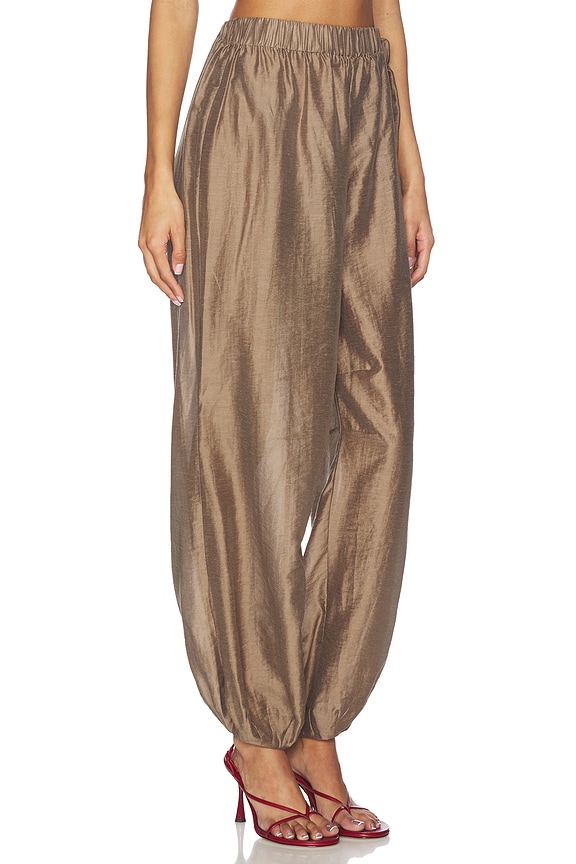 view 2 of 6 by Marianna Harmi Pant in Brown